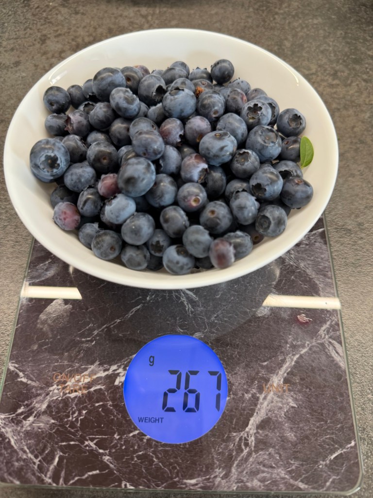 Growing Blueberries in Fabric Pots
